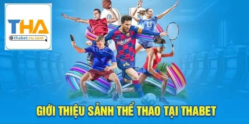 thể thao nhà cái Thabet