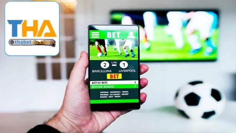 Nền tảng cấm mọi hành vi gian lận cá cược 