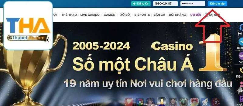 Thao tác đăng nhập tài khoản Thabet